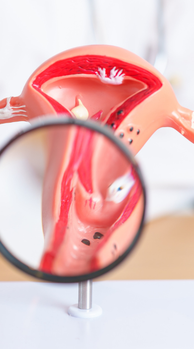 Panelit të fertilitetit